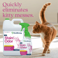 thumbnail image 4 of Cat Stain and Odor Remover: Enzyme Urine Odor Neutralizer - Stain Remover (32 oz and 1 Gallon), 4 of 11