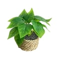thumbnail image 2 of Eolstice Artificial Potted Plants, Assorted Mini Faux Leaf Shrub In Straw Basket, Multi Style Small Tabletop Planter, For Indoor Shelf Desk Home Decorative Planter, 2 of 6