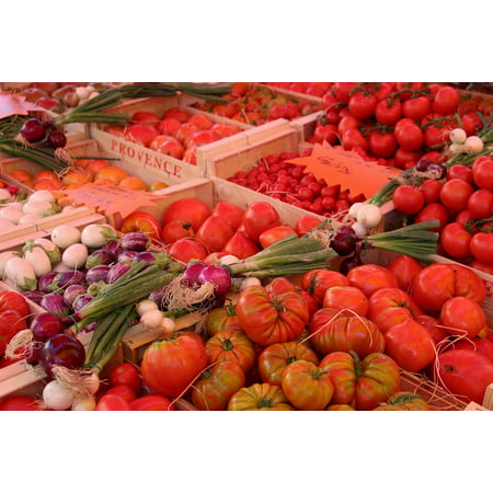 Canvas Print Tomatoes Vaucluse Vegetables Provence Market Stretched Canvas 10 x