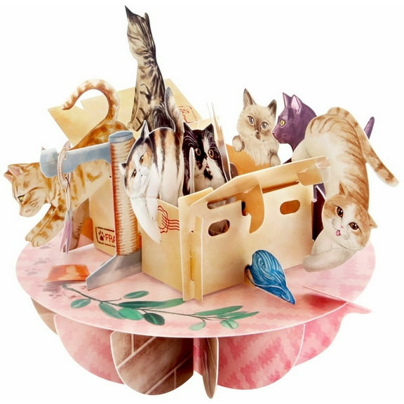 Notes & Queries Purrfect Parcel : Cats Playing in Boxes Santoro Pirouettes 3D Pop Up Keepsake Greeting Card