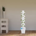 thumbnail image 3 of Hydroponic Tower Growing Mechanism, Hydroponic Growing Kit, 45-Pod Hydroponic Mechanism, 3 of 8