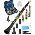thumbnail image 1 of Clarinet AKLOT B Flat Concert Precision Tone Hole Design, 1 of 9
