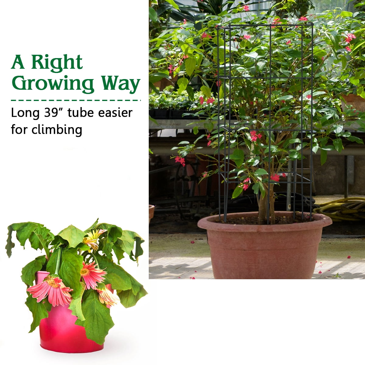 Gymax 8 Pack Tomato Cages Garden Cages Stakes Plant Trellis 16'' x 16'' x 39''