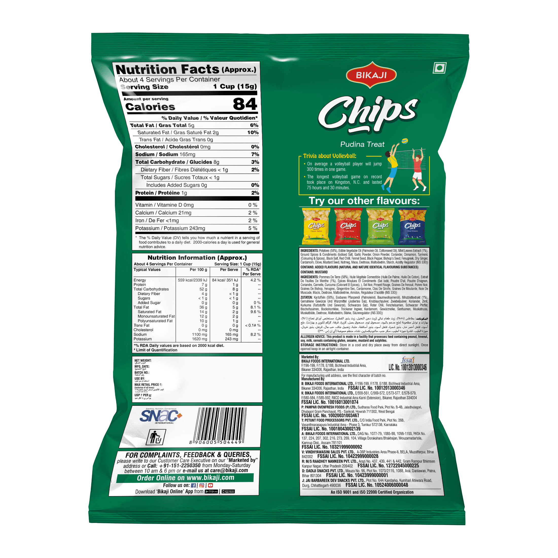 Bikaji Chips Pudina Treat, 80g