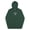 Alpine Green, variant on Santa Cruz Surf Shop EST 1969 Premium Mens Hoodie