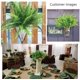 thumbnail image 4 of 6 piezas de plantas artificiales, arbustos verdes de plástico falsos, arbustos, plantas de plástico resistentes a los rayos UV, pasto de trigo para decoración de interiores y exteriores del hogar y e, 4 of 5