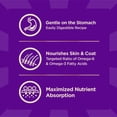 thumbnail image 2 of Wellness CORE+ Sensitive Skin & Stomach Dry Dog Food with Freeze Dried Pieces, Wholesome Grains, High Protein, Natural, Salmon & Rice Recipe, (4-Pound Bag), 2 of 10