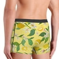 thumbnail image 5 of Balery Lemon Men's Boxer Briefs, Soft and Breathable Cotton Underwear with nylon Waistband-X-Large, 5 of 9
