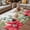 Gray Red, variant on Christmas Poinsettia Outdoor Rug for Patio/Deck/Porch, Non-Slip Large Area Rug 5 x 7 Ft, Xmas Birds Berries Eucalyptus Botanical Indoor Outdoor Rugs Washable Area Rugs, Camping Rug Carpet Runner