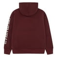 thumbnail image 2 of Levi's Boys Sleeve Hit Hoodie, Size 8-20, 2 of 4