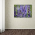 thumbnail image 4 of Trademark Fine Art 'Blue Lupine Flowers' Canvas Art by Cora Niele, 4 of 4