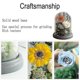 thumbnail image 3 of Eternal Preserved Real Sunflower Flowers In Glass Dome, For Teachers Day, Birthday, Wedding, Xmas, 3 of 5