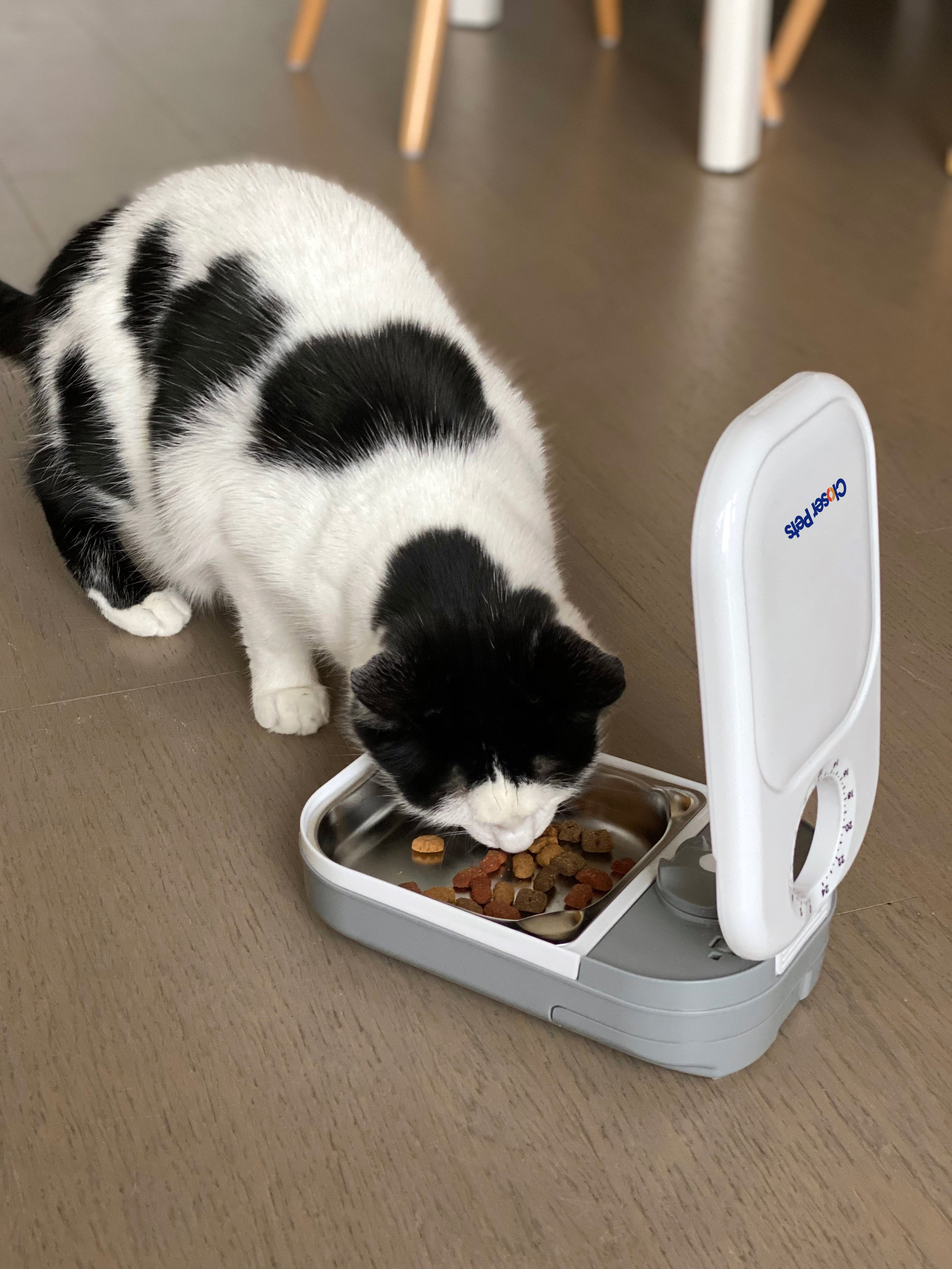 Closer Pets One-Meal Automatic Timed Dog & Cat Feeder with Stainless Steel Bowl Insert