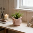 thumbnail image 6 of Cheapark Rose Shaped Planter Flower Pot Succulent Holder Cute Floral Design Indoor Home Living Room Desktop Decoration, 6 of 6