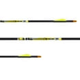 thumbnail image 2 of Carbon Express D-Stroyer Arrows - .500 Shafts 12-Pack, 2 of 2