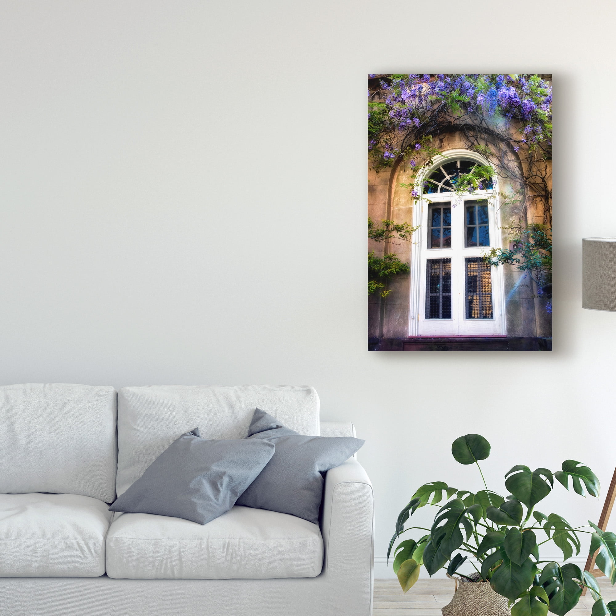Trademark Fine Art 'White Wisteria' Canvas Art by Danny Head