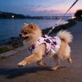 thumbnail image 6 of GeBuSn Cute Dog Dress Small Dog Clothes for Girls Female Puppy Outfits Bowknot Doggy Cat Princess Dress Harness Set for Holiday Birthday Party Clothing (XS), 6 of 6