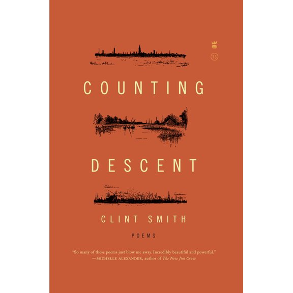 Counting Descent, (Hardcover)