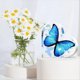 thumbnail image 4 of 3 Uds Mariposa Acrílica en Forma de Corazón Regalo para Mujer Decoración de Escritorio Tallado Decoración de Mesa de Recuerdo Regalo Agradecido, 4 of 5