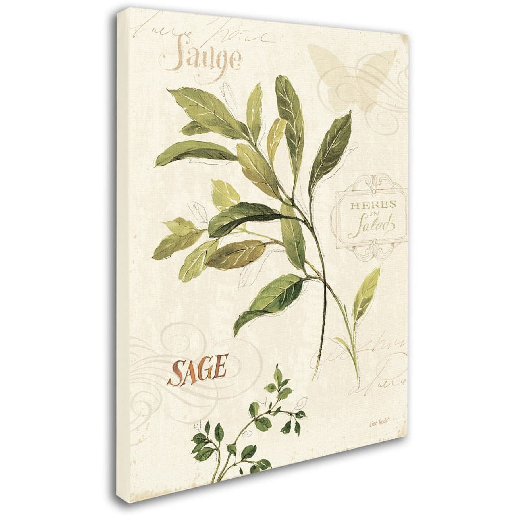Trademark Fine Art "Aromantique IV" Canvas Art by Lisa Audit