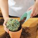 thumbnail image 5 of Pala de jardinería de plástico Pala de jardín liviana para niños y adultos | Herramienta de trasplante de suculentas | Pala multiusos para tierra, fertilizante, macetas, alimento | 1 pieza | 5,3 x, 5 of 5