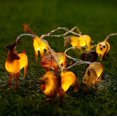 thumbnail image 2 of Animal String Lights Led Light Jungle Party Decorations Birthday Party Christmas Gifts 4.9ft USB powered, 2 of 3