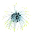 thumbnail image 2 of Huayishang Aquarium Accessories Clearance, Aquarium Fish Tank Luminous Sea Anemone Artificial Coral Ornament Decoration Home Decor Yellow, 2 of 2