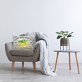 thumbnail image 3 of Stupell Industries Farm Fresh Produce Lemons Decorative Printed Throw Pillow Design by Creatif Belle., 3 of 6