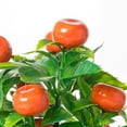 thumbnail image 2 of Coofit Artificial Plant Realistic Simulated Tangerine Potted Plant Artificial Fruit, 2 of 5