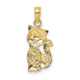 thumbnail image 3 of 14k Two-Tone Gold Open Back Textured Polished Finish Cat with Heart Design Charm Pendant, 3 of 3