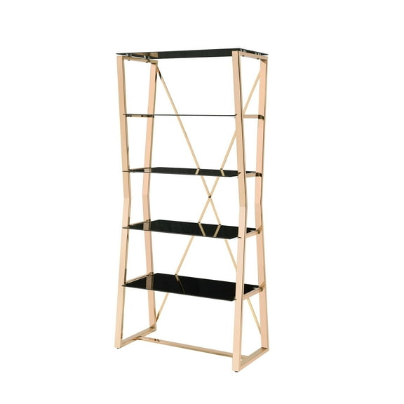 Furniture of America Abair Contemporary Glass Shelves Bookcase in Gold