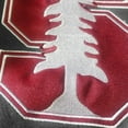 thumbnail image 2 of Youth Stadium Athletic Charcoal Stanford Cardinal Big Logo Pullover Hoodie, 2 of 3