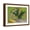 Brown Frame, variant on Art.com Oleanders Art Print by Vincent van Gogh, White Frame Wall Art, 29" x 23"