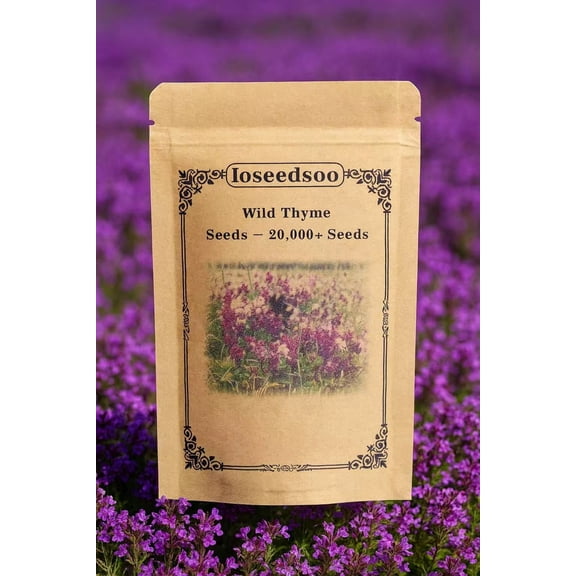 Wild Thyme Seeds – 20,000 Seeds, Perennial Ground Cover Plant for Outdoor Garden & Landscaping