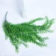 thumbnail image 5 of colgante artificial cadena de perlas planta colgante artificial re Zulema  Plantas de suculentas artificiales, 5 of 8