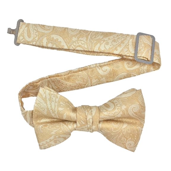 Boy’s Paisley Champagne Formal Satin Pre-Tied Bow Tie by Spencer J’s Signature Satin Collection