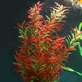 thumbnail image 7 of ACDANC Aquarium Accessories-Fish Tank Aquatic Plants Made of Silk Cloth Lifelike for DIY Flower Decorations,Silk Plants for Fish Tank, 7 of 7