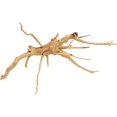 thumbnail image 1 of Wekity Driftwood for Aquarium,3PCs Natural Aquarium Tree Root,Realistic Reptile Fish Tank Decor,Solid Reptile Wood Branches Terrarium Decor,Turtle Tank Wood Tree Root for Aquarium Decoration-0619, 1 of 5