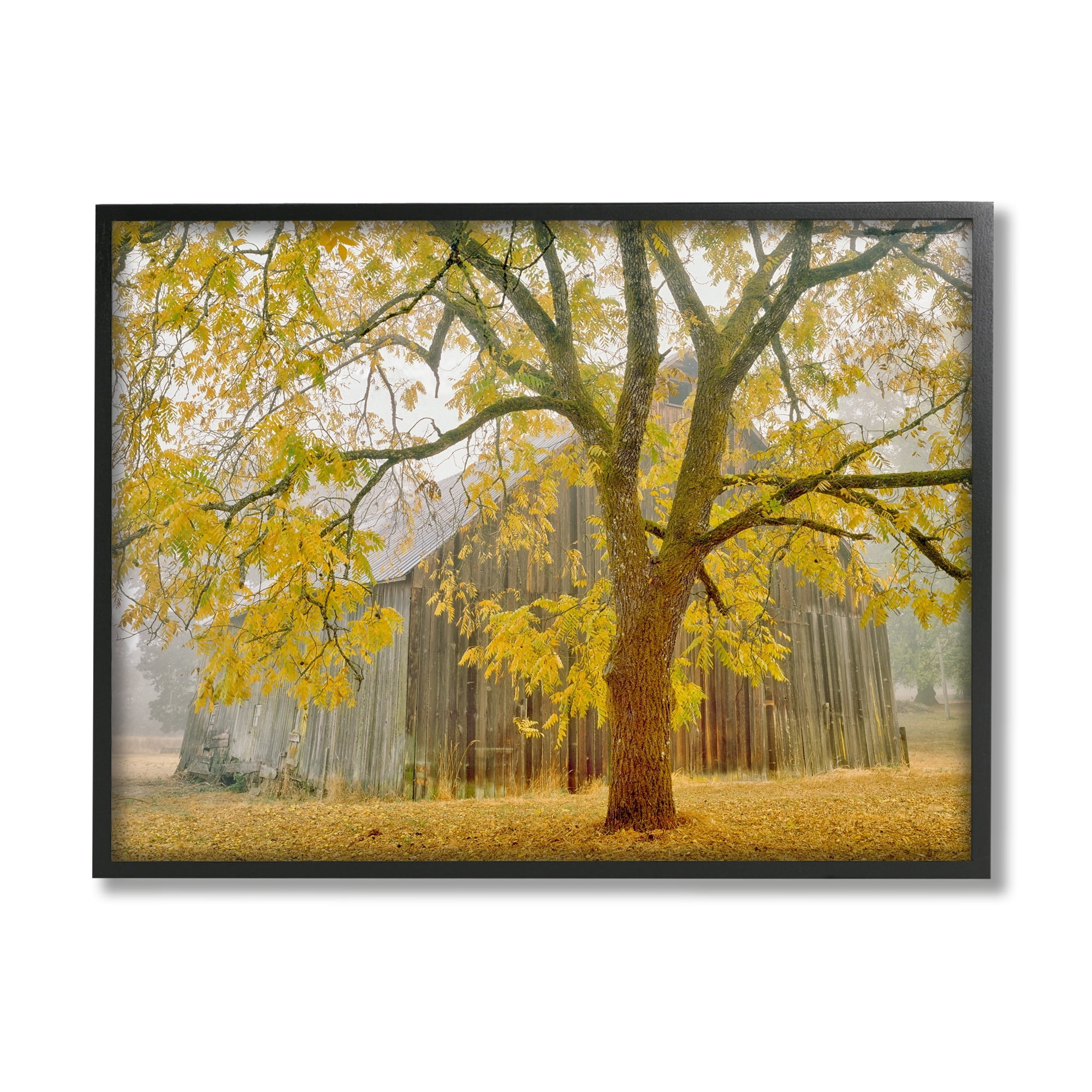 Stupell Industries Rustic Cabin Autumn Foliage Landscape Photography Gray Framed Art Print Wall Art