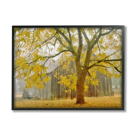 Stupell Industries Rustic Cabin Autumn Foliage Landscape Photography Black Framed Art Print Wall Art