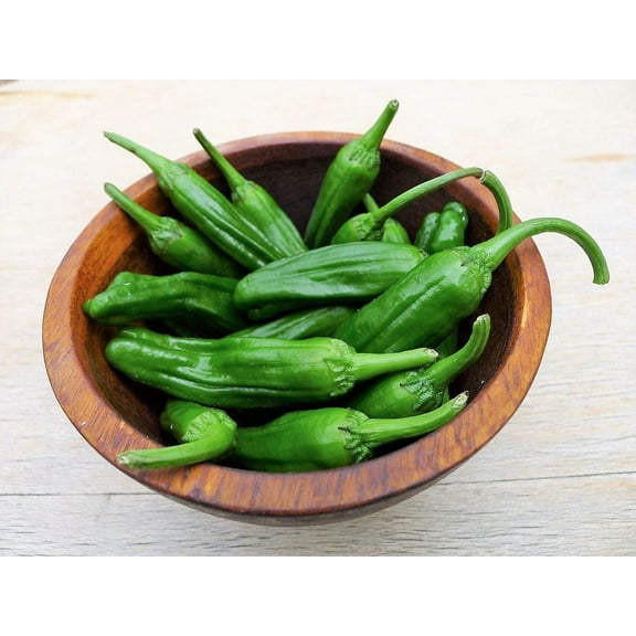 50 Seeds SHISHITO PEPPER Green to Red Mild Japanese Chili Capsicum Annuum Vegetable Seeds