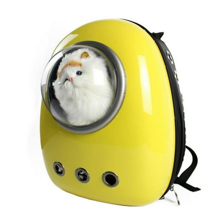703e natsukage adorable pet
