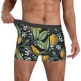 thumbnail image 2 of Salouo Hand Drawn Citrus Fruits Elegant Lemons Print Men's Boxer Briefs,Breathable Underwear Elastic Waistband Briefs for Men -Large, 2 of 8