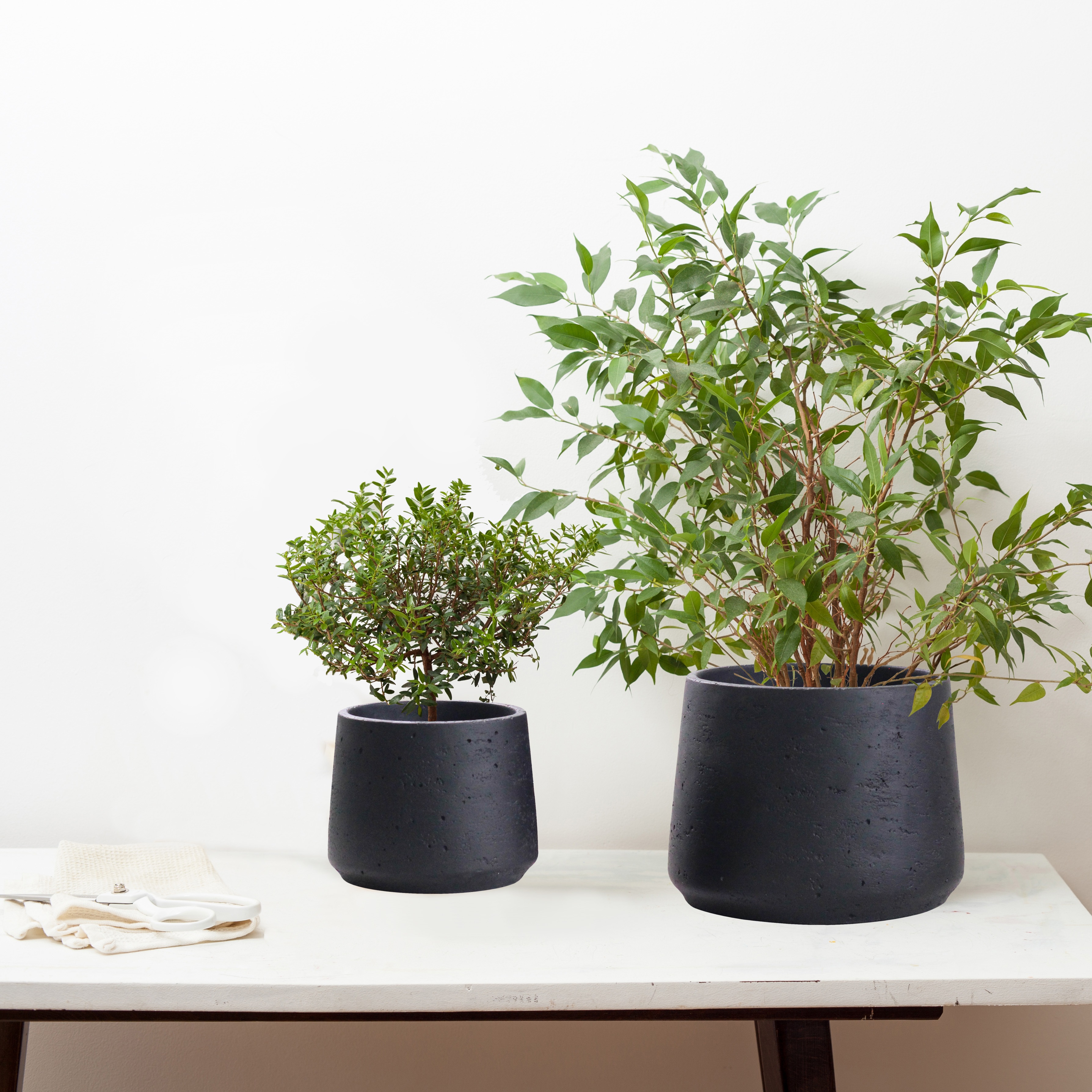 Olly & Rose Matt Black Ceramic Plant Pot Set of 2 - Indoor Outdoor Planters Textured Effect