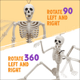 thumbnail image 3 of Syncfun 6 Pcs Skeleton Halloween Decorations,16 Inch Full Body Poseable Skeleton with Movable Joints for Halloween Indoor Outdoor Party,Graveyard,Haunted House Accessories, 3 of 6