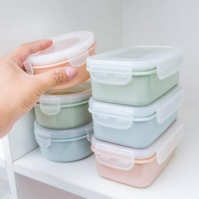 Mini Refrigerator Containers : Compact Lunch Boxes