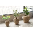 thumbnail image 2 of Vintiquewise QI003832.3 Panier Jardinière Rond Tissé avec Doublure en Plastique Étanche - Ensemble de 3, 2 of 6