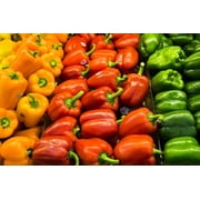 GS Plant Foods Turbo Soil Bio-Blend - تعديل فائق للتربة، معزز، معزز للمغذيات، تسميد داخلي وخارجي، العناية بالعشب، البستنة العضوية، البستنة، 3 أرطال