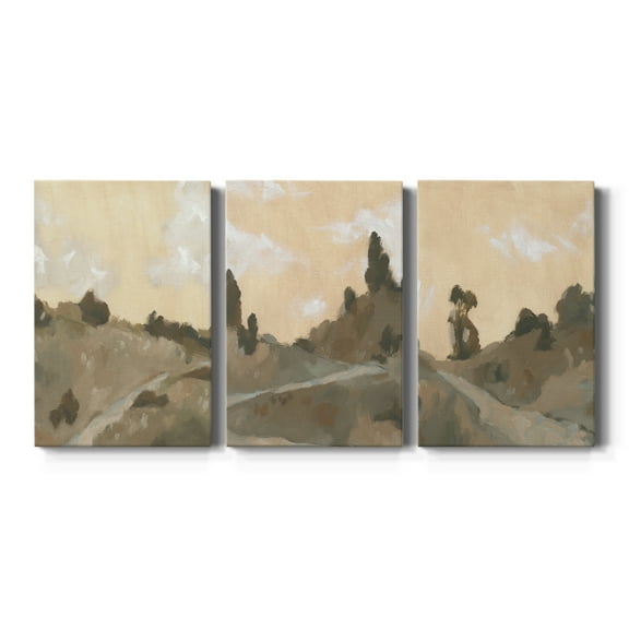 Hillside Walking Path IV Premium Gallery Wrapped Canvas - Ready to Hang - 40 x 60 Each