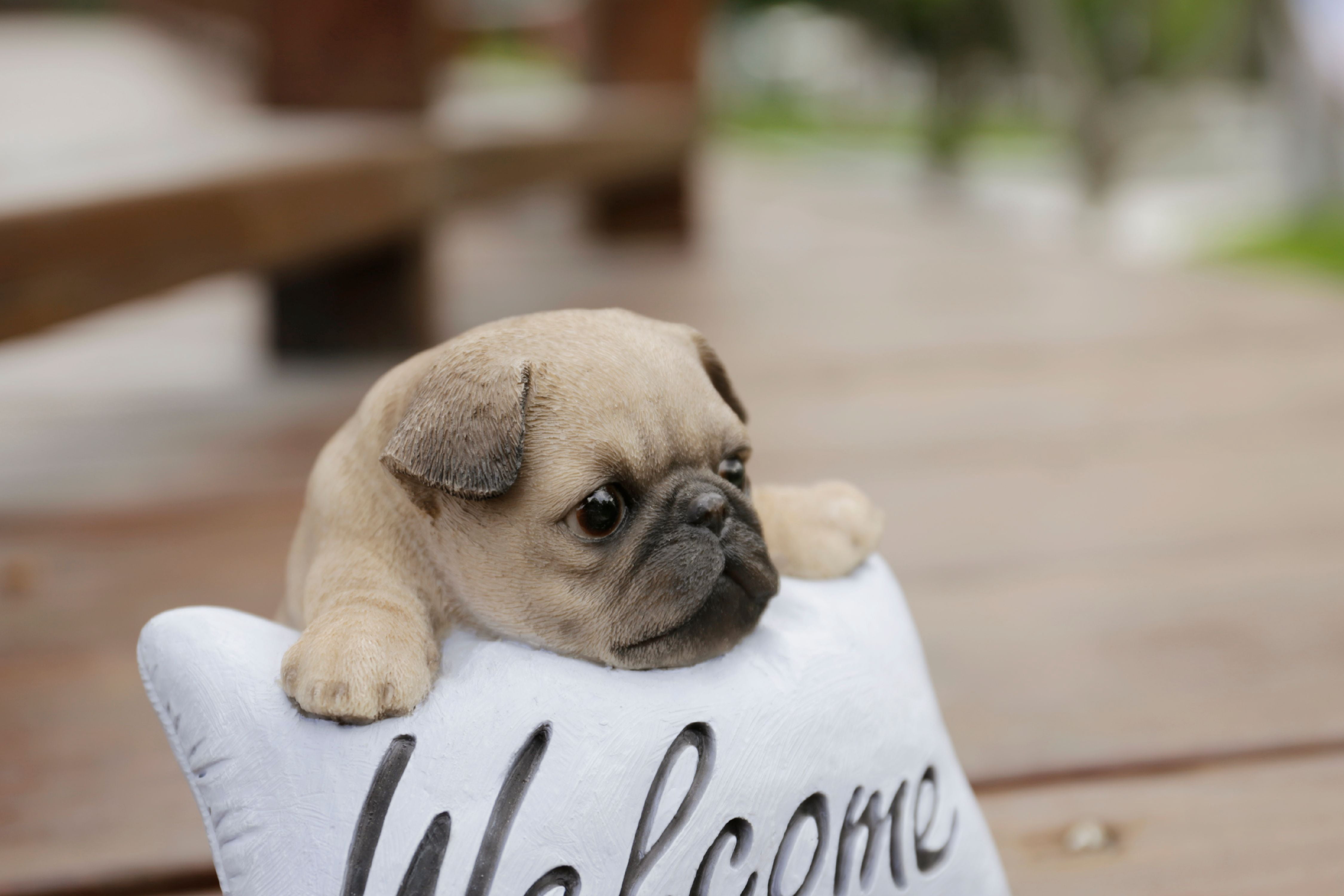 Hi-Line Gift PUG WITH WELCOME SIGN